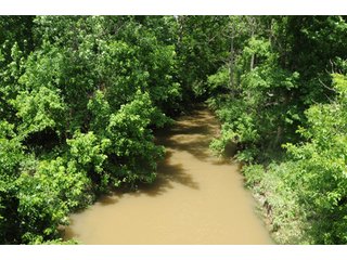 Property photo 68 - 681 Acres in 12 Tracts