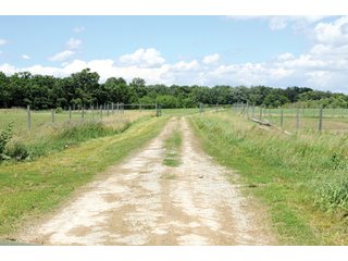 Property photo 49 - 681 Acres in 12 Tracts
