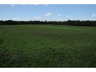 Property photo 65 - 681 Acres in 12 Tracts