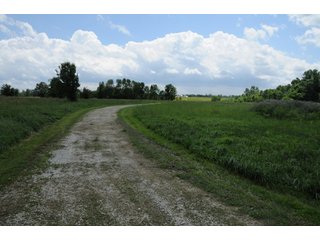 Property photo 28 - 681 Acres in 12 Tracts