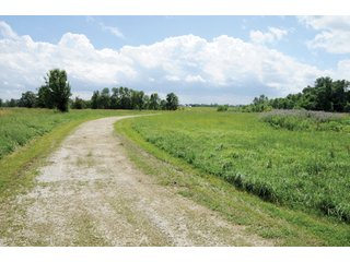Property photo 56 - 681 Acres in 12 Tracts