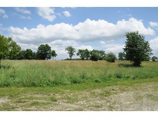 Property photo 37 - 681 Acres in 12 Tracts