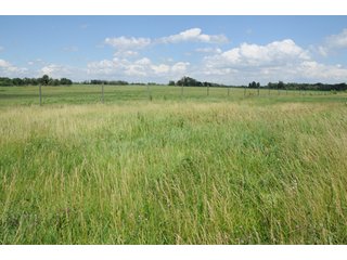 Property photo 12 - 681 Acres in 12 Tracts