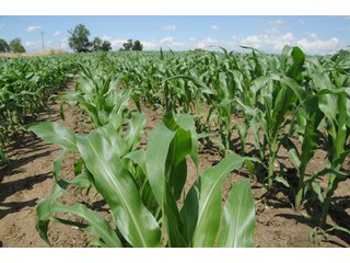 Property photo 5 - 681 Acres in 12 Tracts