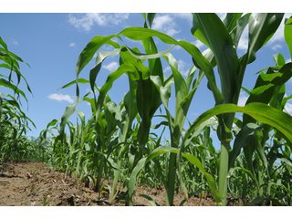 Property photo 60 - 681 Acres in 12 Tracts