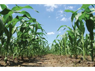 Property photo 70 - 681 Acres in 12 Tracts