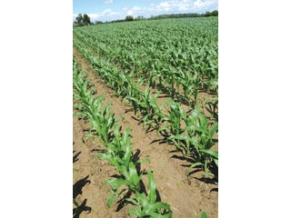 Property photo 67 - 681 Acres in 12 Tracts