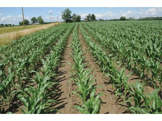 Property photo 14 - 681 Acres in 12 Tracts