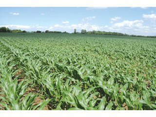 Property photo 25 - 681 Acres in 12 Tracts