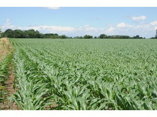 Property photo 44 - 681 Acres in 12 Tracts