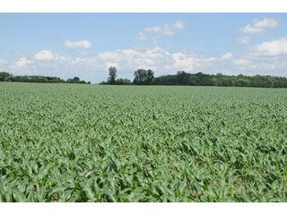 Property photo 4 - 681 Acres in 12 Tracts