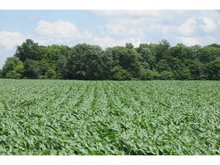 Property photo 34 - 681 Acres in 12 Tracts