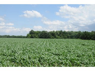 Property photo 8 - 681 Acres in 12 Tracts