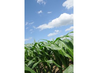 Property photo 45 - 681 Acres in 12 Tracts
