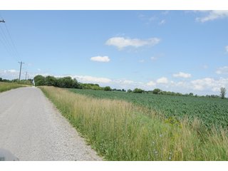 Property photo 51 - 681 Acres in 12 Tracts
