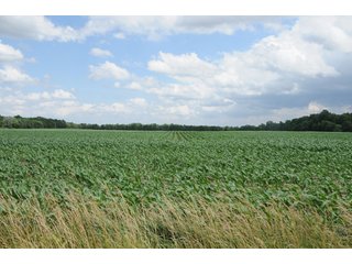 Property photo 46 - 681 Acres in 12 Tracts