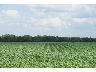 Property photo 54 - 681 Acres in 12 Tracts