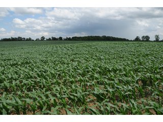 Property photo 27 - 681 Acres in 12 Tracts