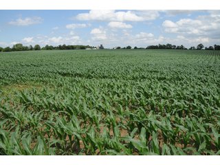 Property photo 3 - 681 Acres in 12 Tracts
