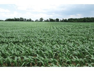 Property photo 64 - 681 Acres in 12 Tracts