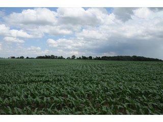 Property photo 39 - 681 Acres in 12 Tracts