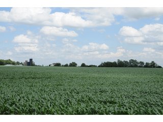 Property photo 47 - 681 Acres in 12 Tracts