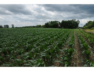Property photo 17 - 681 Acres in 12 Tracts