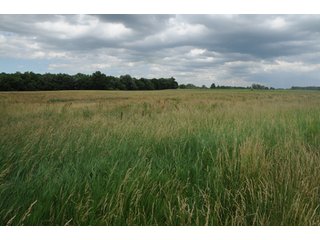 Property photo 6 - 681 Acres in 12 Tracts