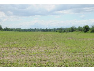 Property photo 29 - 681 Acres in 12 Tracts