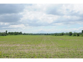 Property photo 19 - 681 Acres in 12 Tracts
