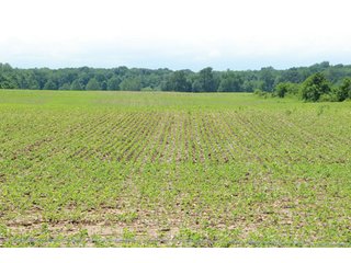 Property photo 2 - 681 Acres in 12 Tracts