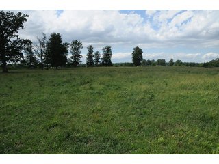 Property photo 30 - 681 Acres in 12 Tracts