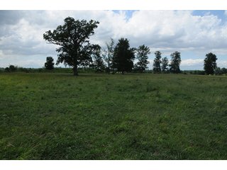 Property photo 53 - 681 Acres in 12 Tracts