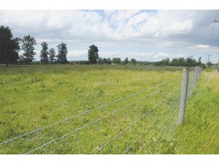 Property photo 20 - 681 Acres in 12 Tracts