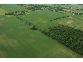 Property photo 89 - 681 Acres in 12 Tracts