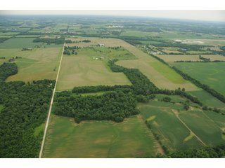 Property photo 106 - 681 Acres in 12 Tracts