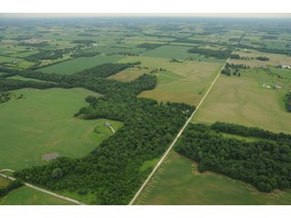 Property photo 107 - 681 Acres in 12 Tracts
