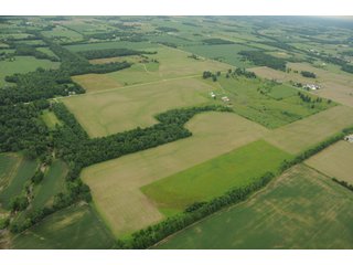 Property photo 85 - 681 Acres in 12 Tracts