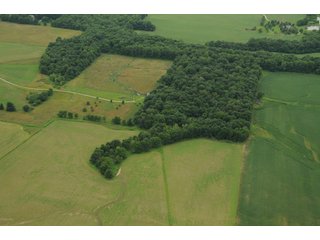 Property photo 105 - 681 Acres in 12 Tracts