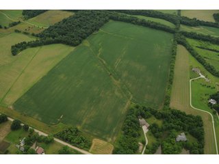 Property photo 125 - 681 Acres in 12 Tracts