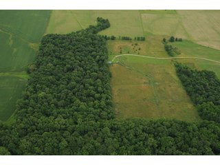 Property photo 114 - 681 Acres in 12 Tracts