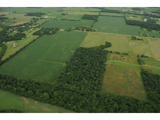 Property photo 123 - 681 Acres in 12 Tracts