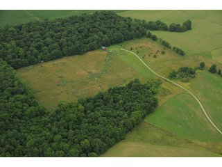Property photo 115 - 681 Acres in 12 Tracts