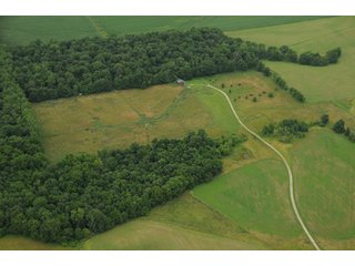 Property photo 77 - 681 Acres in 12 Tracts