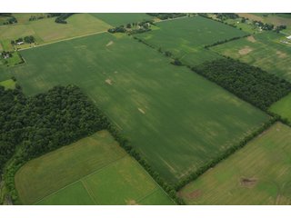 Property photo 98 - 681 Acres in 12 Tracts