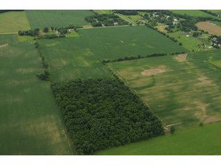 Property photo 101 - 681 Acres in 12 Tracts