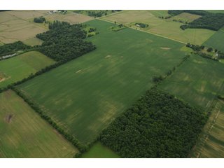Property photo 118 - 681 Acres in 12 Tracts