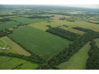 Property photo 99 - 681 Acres in 12 Tracts
