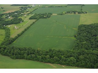Property photo 121 - 681 Acres in 12 Tracts