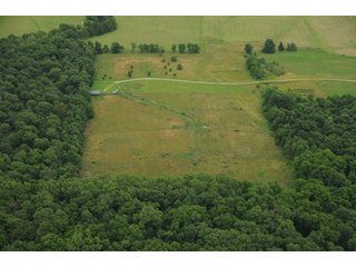 Property photo 79 - 681 Acres in 12 Tracts